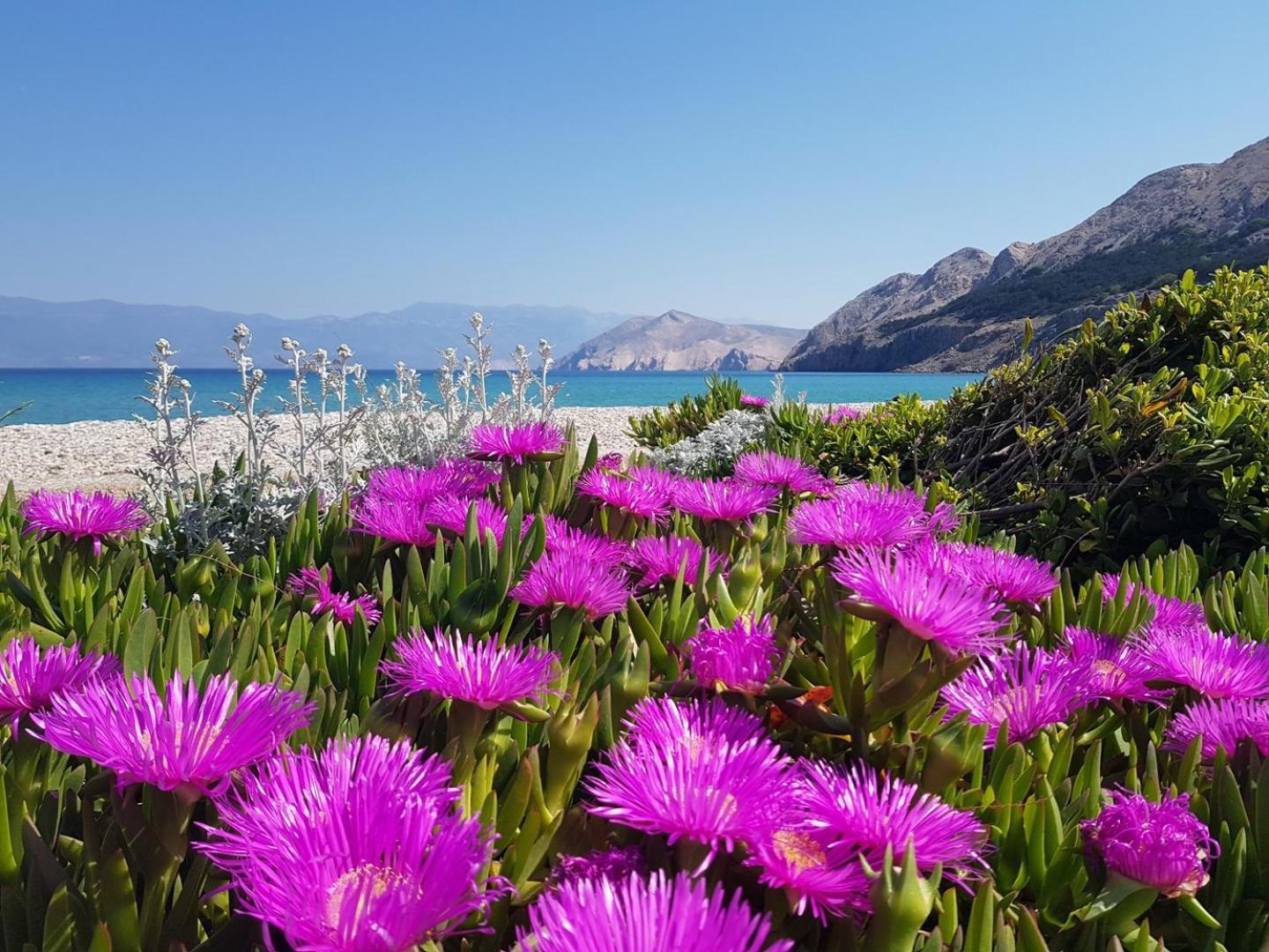 Apartments Mikulan Beach Baška Dış mekan fotoğraf